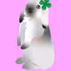 0x2f04e2f8c5daa625444cc4dd44900d5cb4f80be6