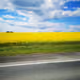 0x2f1e3356c64b36674daf9852e854d42db978f21c