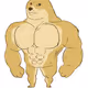 warmcat.eth