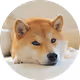croxinshou