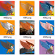 gryphonguildnft