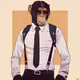 TheAnimalsTeam