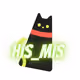HIS_MIS