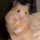 NFTbonkers