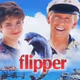 Flipper001
