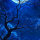 blue567856