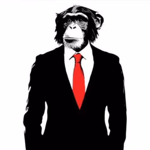 OpenSea profile picture for @Monkeys