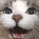 omemenome