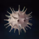 0x2ff7733d65d5d5ee7451e0483dfd76feebb492cf