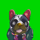 TomPatty