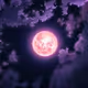 HirayaNFT