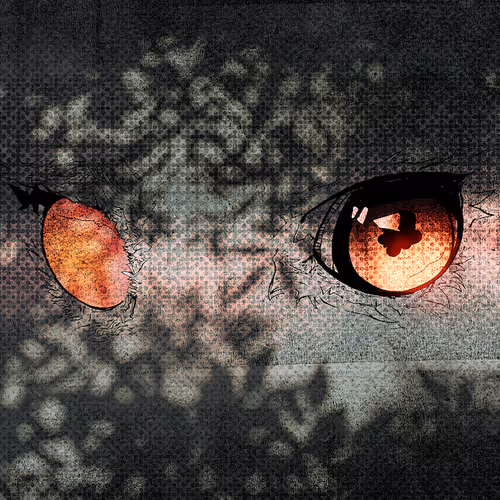 OpenSea profile picture for @Singleton