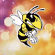 Wasp888