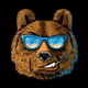 PapaBear33