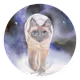 catsoul