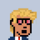 DonaldSkunk