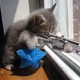 DustSniper