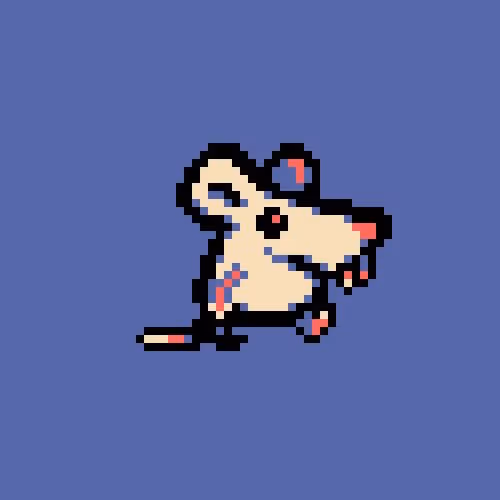 OpenSea profile picture for @DP