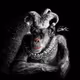 IconJester