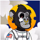 HTRsteam