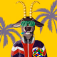 merfi6