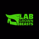 LGB_official