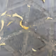 0x312ba157afe0c725b941c1694577b564a48242a5