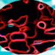 Alex_p_w