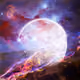 Phoenix_TAC