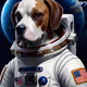 jackwillsaveus1