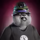 OldCopperPanda