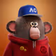 AaryanK