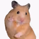 HumsT