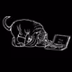 DigitalBloodhound