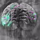 3DMinds