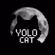 YOLO-Cat-Club-09