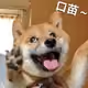 0x31cdeeb6135847bef5c14188ee27d0ed19631138