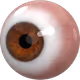 0x31eeca746e67cd14b927938ee307971b3f1d4ae5