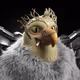 RastaRav3r