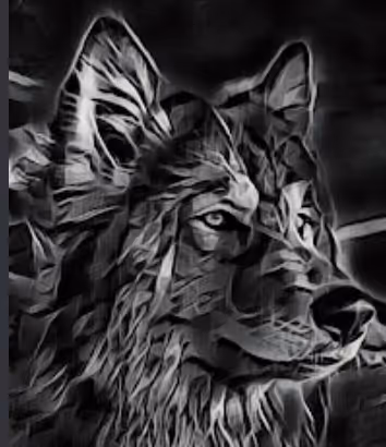 OpenSea profile picture for @fullname