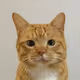 moneygrid.eth