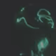 GravenDev