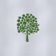 Coffeetree
