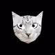 0x3253d583b9a9589be417fd8bd56bef51c689d1cc