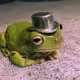 AnonymousFrog