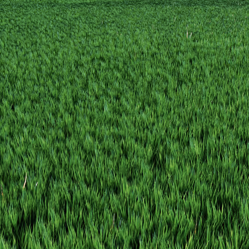OpenSea banner for @HaVe