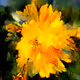GenerativeImages