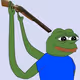 Veho