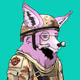 krazytoki