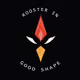 RoosterInGoodShape